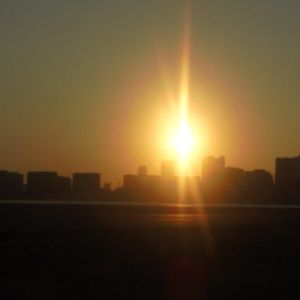 Meet your Posher, Arden